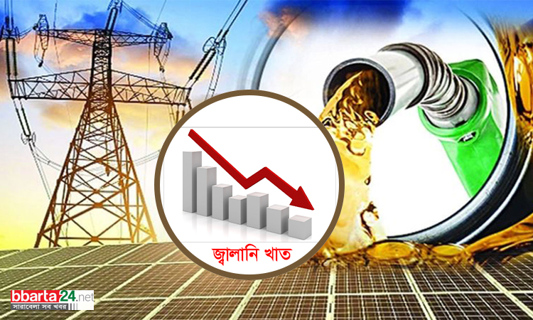 বাজেট ২০২৪-২৫: জ্বালানি খাতে বরাদ্দ কমেছে ৪ হাজার ৫০২ কোটি
