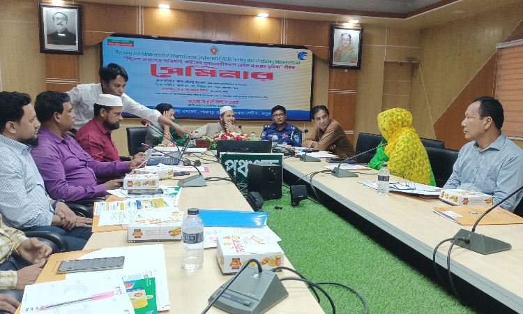 বিদেশ প্রত্যাগত অভিবাসী কর্মীদের পুনঃএকত্রীকরণে রেইজ প্রকল্পের ভূমিকা শীর্ষক সেমিনার