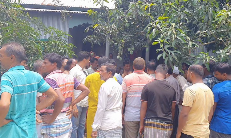 টাঙ্গাইলে উপজেলা নিবার্চন পরবর্তী সহিংসতায় বৃদ্ধাসহ আহত ৫
