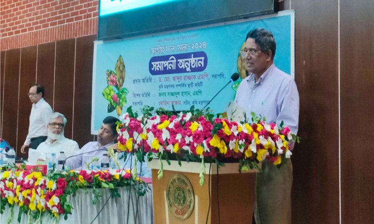 আলুর দাম না কমার কারণ জানালেন সাবেক কৃষিমন্ত্রী