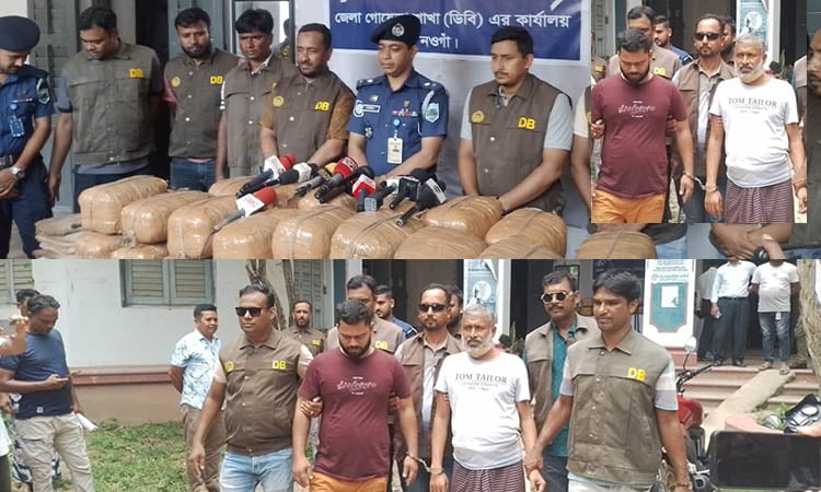 নওগাঁয় ১০১ কেজি গাঁজাসহ  দুই মাদক ব্যবসায়ী গ্রেফতার