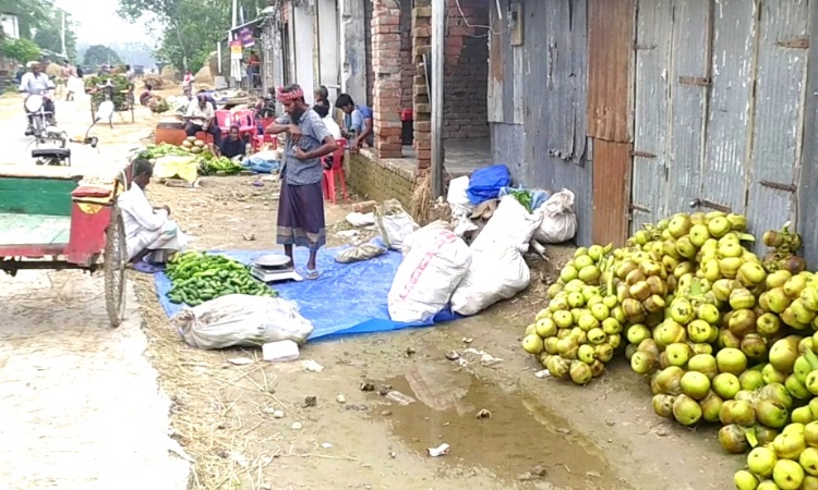 হাকিমপুরে হাটের জায়গা দখল করে দোকান নির্মাণের অভিযোগ