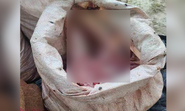 সুন্দরবন থেকে ১৩২ কেজি হরিণের মাংস উদ্ধার