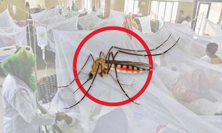 ডেঙ্গু আক্রান্ত হয়ে হাসপাতালে ভর্তি ৩২