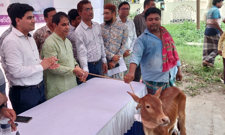 রাজবাড়ীতে মৎস্যজীবীদের মাঝে বাছুর বিতরণ