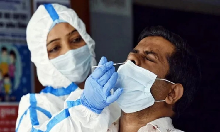 নতুন করে করোনা আক্রান্ত ১৫