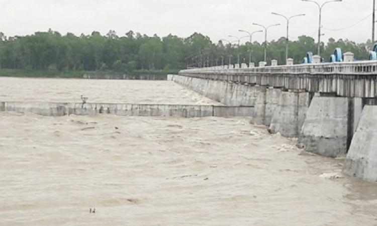 বাড়ছে তিস্তার পানি, নদীপাড়ের মানুষেরা আতঙ্কে