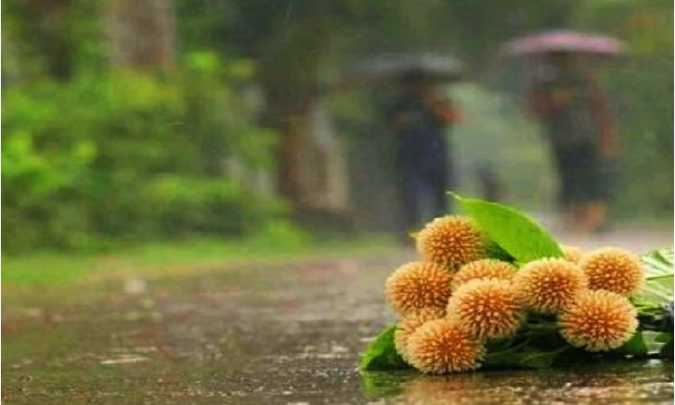 আজ পহেলা আষাঢ়
