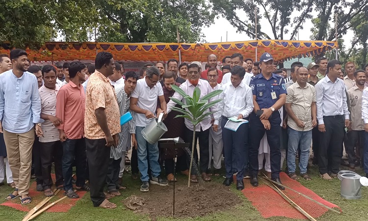পঞ্চগড়ে তিন লাখ গাছের চারা রোপণ কর্মসূচি উদ্বোধন