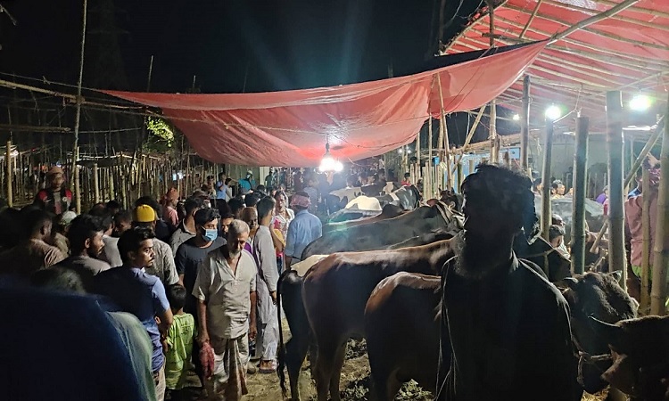 শেষ মুহূর্তে সরগরম পশুর হাট