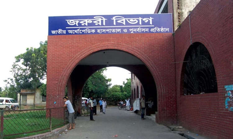 কোরবানি করতে গিয়ে আহত ৩১৫