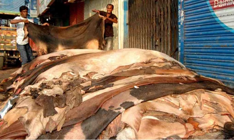 এবার কিছুটা বেড়েছে চামড়ার দাম