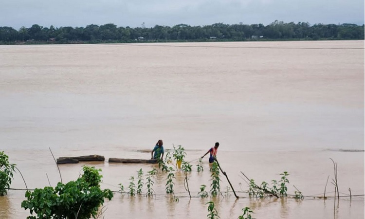 বৃষ্টি আর উজানের ঢলে নেত্রকোণায় বন্যার শঙ্কা