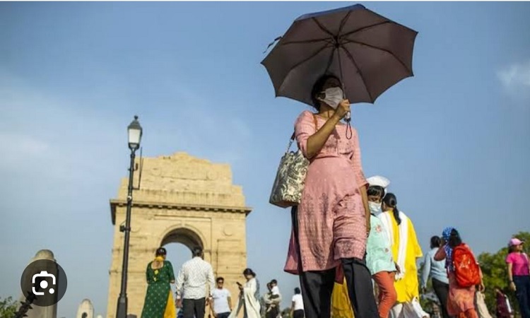 তাপপ্রবাহ: নয়াদিল্লিতে ৫ জনের মৃত্যু