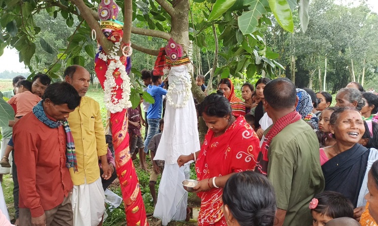 ঢাকঢোল বাজিয়ে বট-পাকুড়ের জমকালো বিয়ে