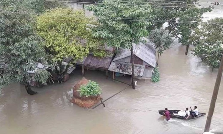 মৌলভীবাজারে প্রতিরক্ষা বাঁধ ভেঙে কয়েক গ্রাম প্লাবিত