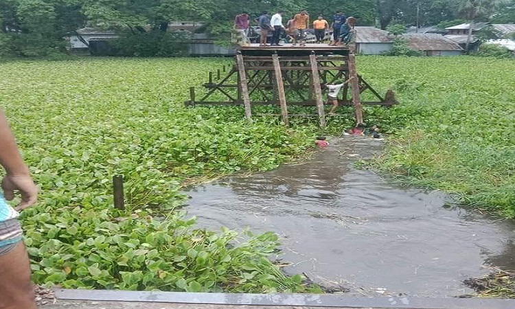 বরগুনায় সেতু ভেঙে বরযাত্রীবাহী মাইক্রোবাস খালে, নিহত ৯