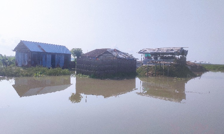 বন্যায় ডুবে আছে চর বালা ডোবা, দেখার কেউ নেই