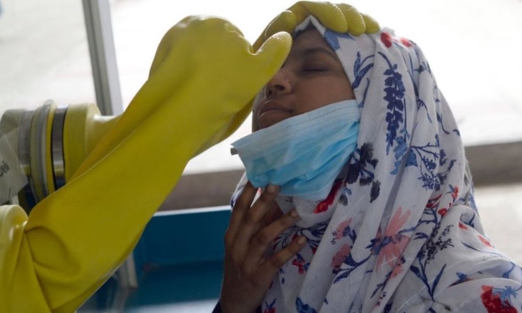 ২৪ ঘণ্টায় করোনা শনাক্ত আরও ১২ জনের