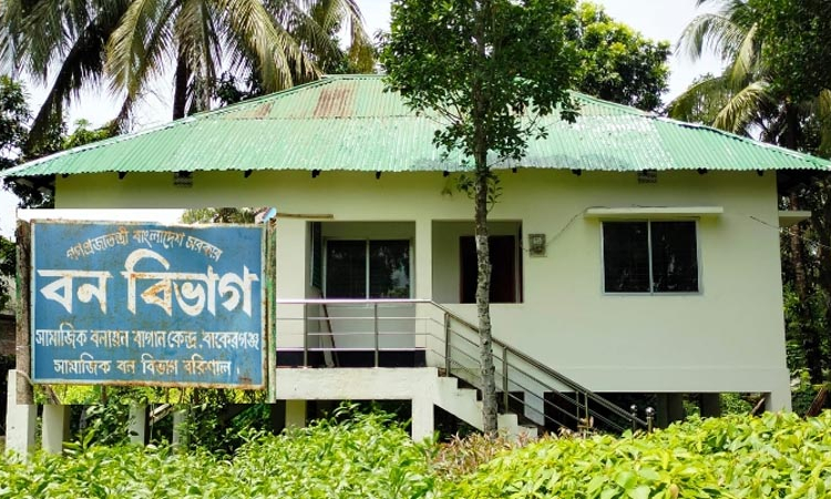 হত্যার শিকার সাপের ৮০ শতাংশই নির্বিষ: বন বিভাগ
