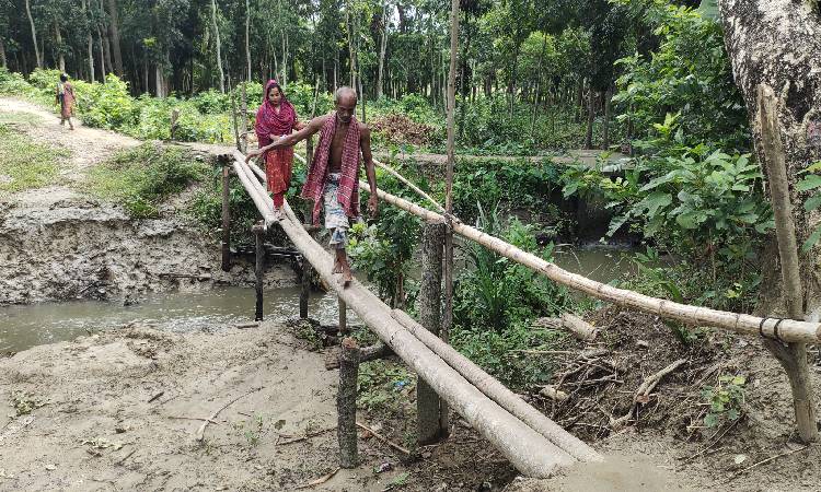 নাজিরপুরে ইউপি সদস্যের বিরুদ্ধে ব্রিজের মালামাল বিক্রির অভিযোগ