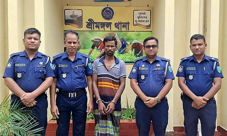 শ্রীমঙ্গলে ডাকাতির মূল পরিকল্পনাকারীসহ ৩ মাদককারবারি গ্রেফতার