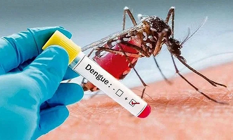 ২৪ ঘণ্টায় ডেঙ্গুতে একজনের মৃত্যু, আক্রান্ত ৪৩