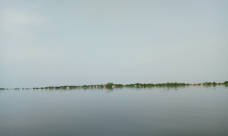 ধর্মপাশায় হাওরে মাছ ধরতে গিয়ে জেলে নিখোঁজ