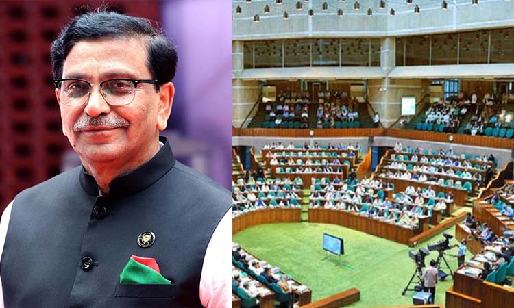 সরকারি কর্মকর্তাদের দুর্নীতির বিষয়ে সংসদে সরব মাহবুবউল আলম হানিফ