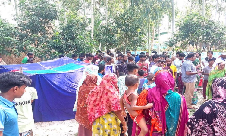 সিংড়ায় বিদ্যুৎস্পৃষ্টে শ্বশুর-পুত্রবধূর মৃত্যু