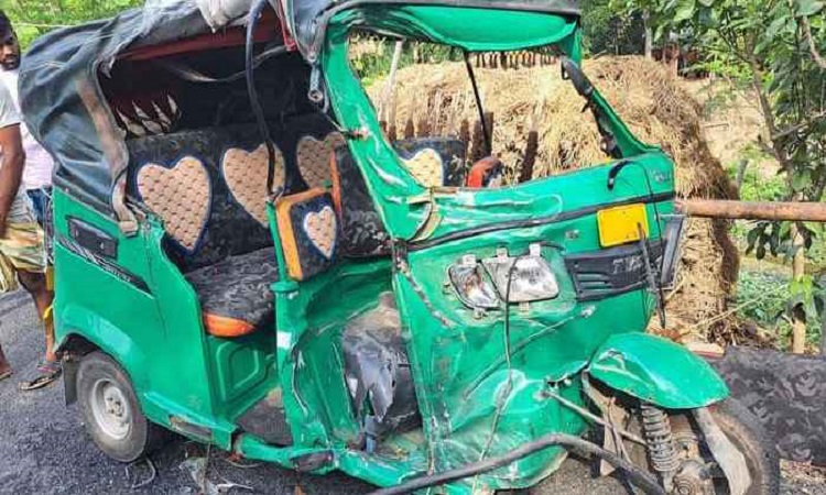 পাবনায় ট্রাক-সিএনজি মুখোমুখি সংঘর্ষে ভাই-বোনের মৃত্যু