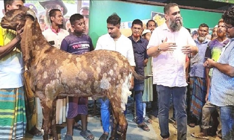 ছাগলকাণ্ডের 'সাদেক অ্যাগ্রো'তে উচ্ছেদ অভিযান চালাবে ডিএনসিসি