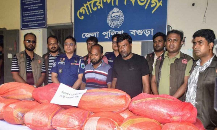 বগুড়ায় ৮৬ কেজি গাঁজাসহ গ্রেফতার ২