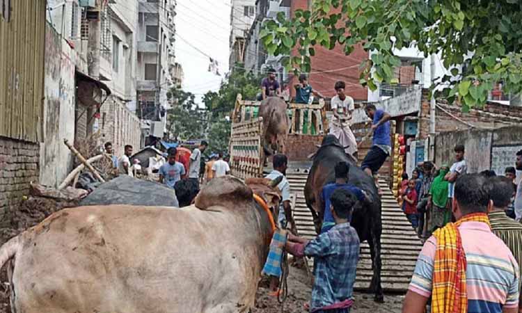 সম্পূর্ণ গুঁড়িয়ে দেওয়া হলো আলোচিত সাদিক অ্যাগ্রো