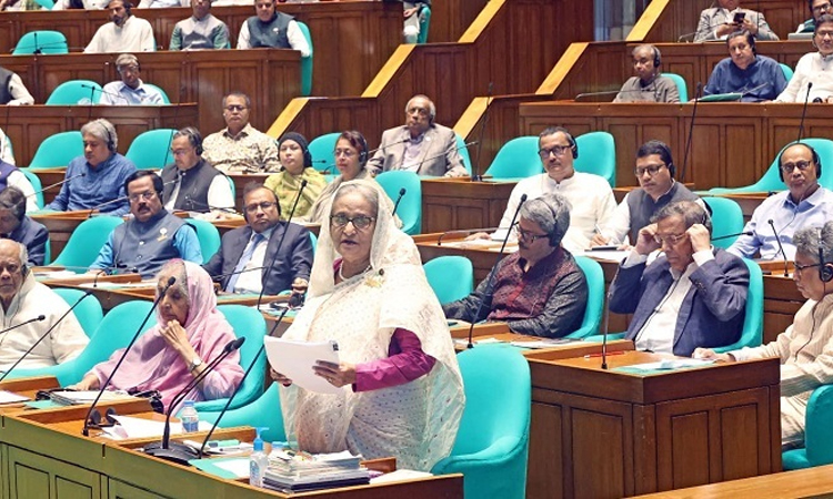 বাজেট বাস্তবায়নের সক্ষমতা সরকারের আছে: প্রধানমন্ত্রী