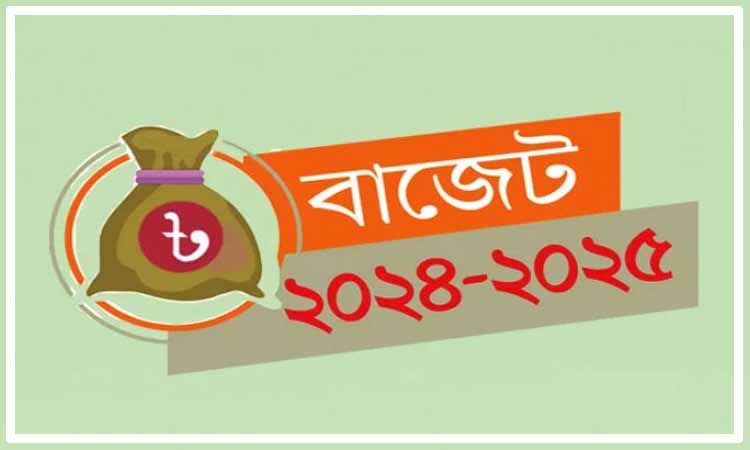 ২০২৪-২৫ অর্থবছরের বাজেট পাস, ১ জুলাই থেকে কার্যকর