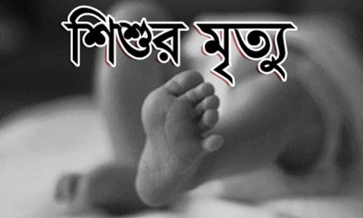 রাজবাড়ীতে মায়ের কোল থেকে পড়ে শিশুর মৃত্যু