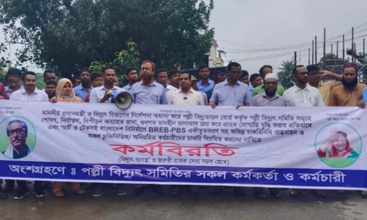 ভালুকায় পল্লী বিদ্যুৎ সমিতি কর্মকর্তা-কর্মচারিদের কর্মবিরতি