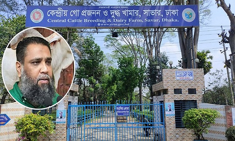 সাদিক এগ্রোর যোগসাজশে অনিয়ম-দুর্নীতি, কেন্দ্রীয় গো-প্রজনন ও দুগ্ধ খামারে দুদকের অভিযান