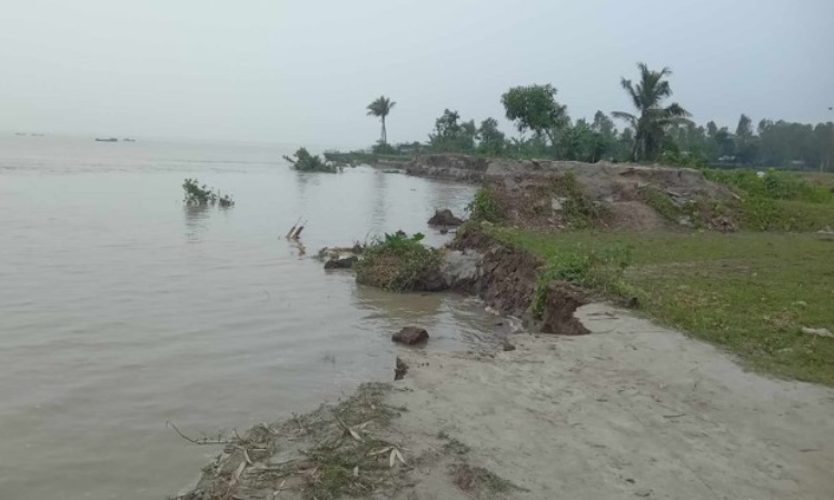 টাঙ্গাইলের আবাদী জমিতে বালু মহাল করার পায়তারা