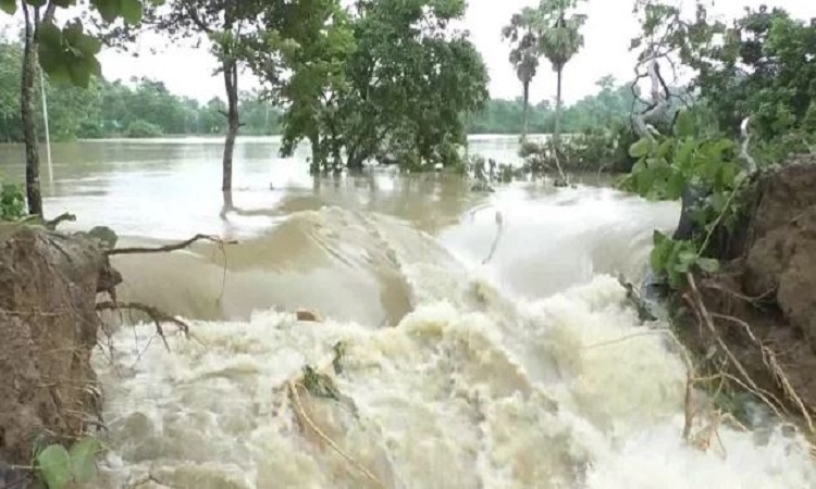 ফেনীতে মুহুরী নদীর বাঁধ ভেঙে ১০ গ্রাম প্লাবিত
