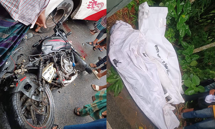 বোয়ালমারীতে সড়ক দুর্ঘটনায় দুই ভাইয়ের মৃত্যু