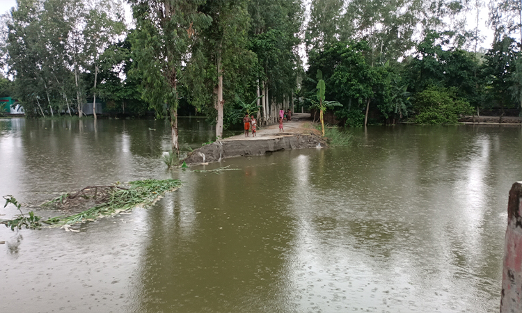 চিলমারীতে বন্যা পরিস্থিতির অবনতি, গৃহহীন ২ শতাধিক পরিবার