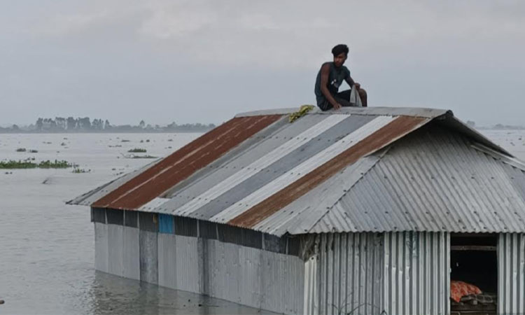 কুড়িগ্রামে বাড়ছে নদ-নদীর পানি, নতুন নতুন এলাকা প্লাবিত