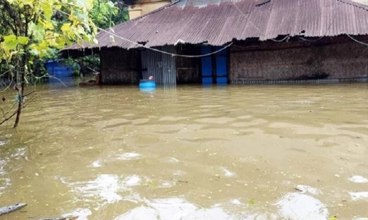 যমুনা নদীর তীব্র ভাঙনে ইসলামপুরের ৭০ গ্রাম প্লাবিত