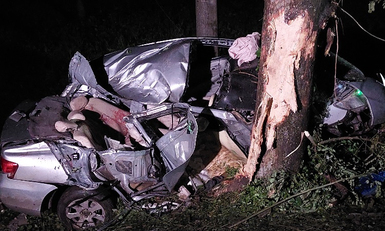 পাবনায় প্রাইভেটকার নিয়ন্ত্রণ হারিয়ে নিহত ৫
