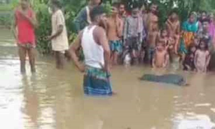 সোমেশ্বরী নদীতে নৌকাডুবি: দু’দিন পর মাদরাসা ছাত্রীর মরদেহ উদ্ধার
