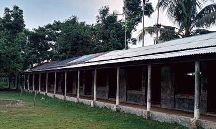 সাতক্ষীরার দক্ষিণ মাছিয়াড়া দাখিল মাদ্রাসায় নিয়োগ বাণিজ্য
