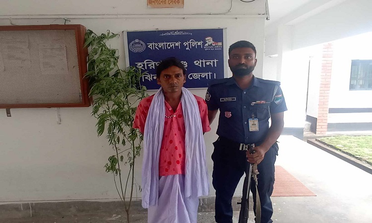 বেগুন ক্ষেতের আড়ালে গাঁজা চাষ, আটক ১