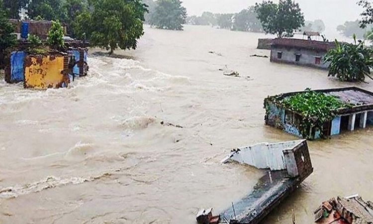 আসামে বন্যায় নিহত বেড়ে ৫৮, গৃহহীন সাড়ে ২৪ লাখ
